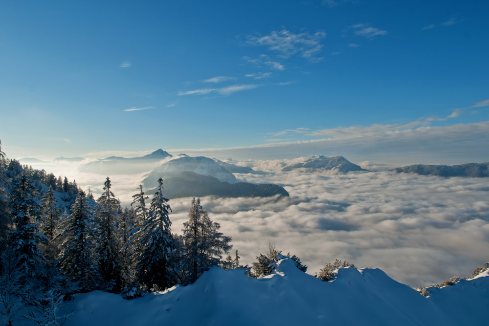 Panorama Predax Winter 
