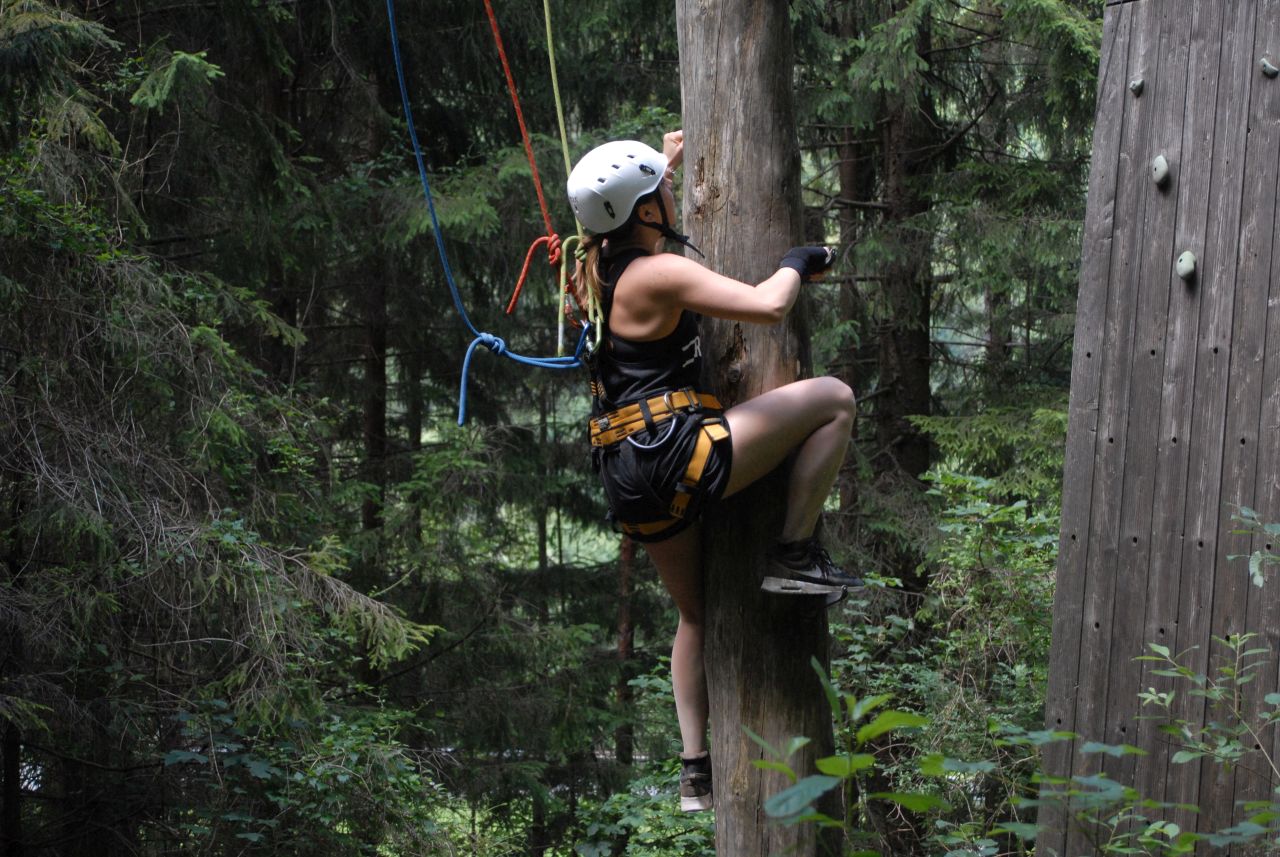 Pamper Pole