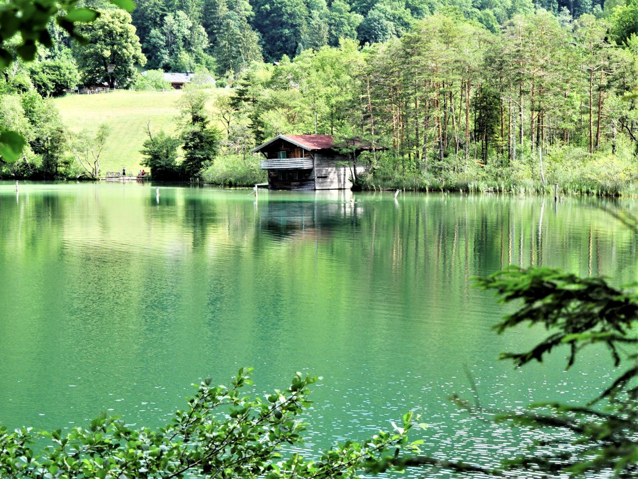 Thumsee